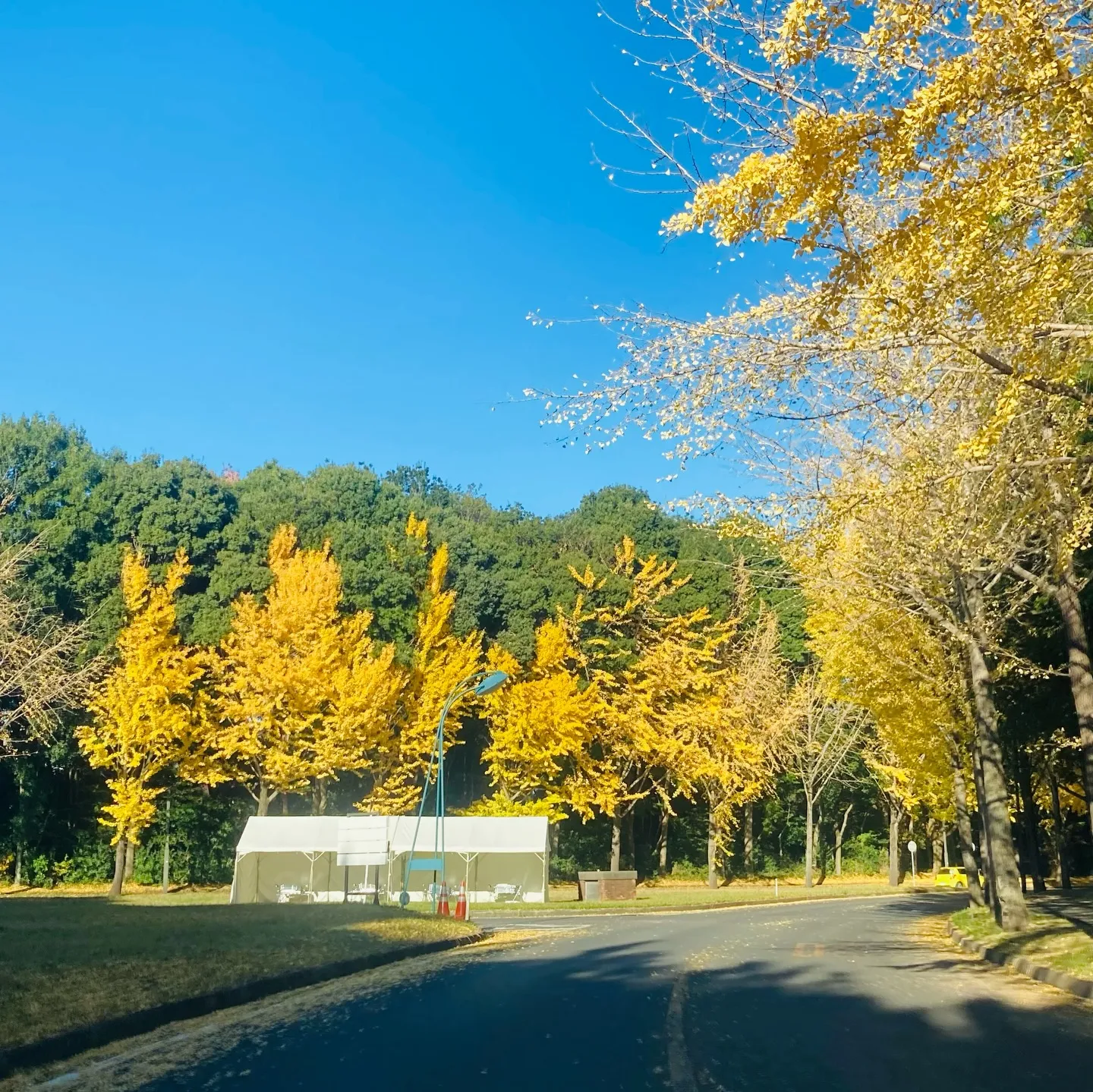 『12月〜師走〜』